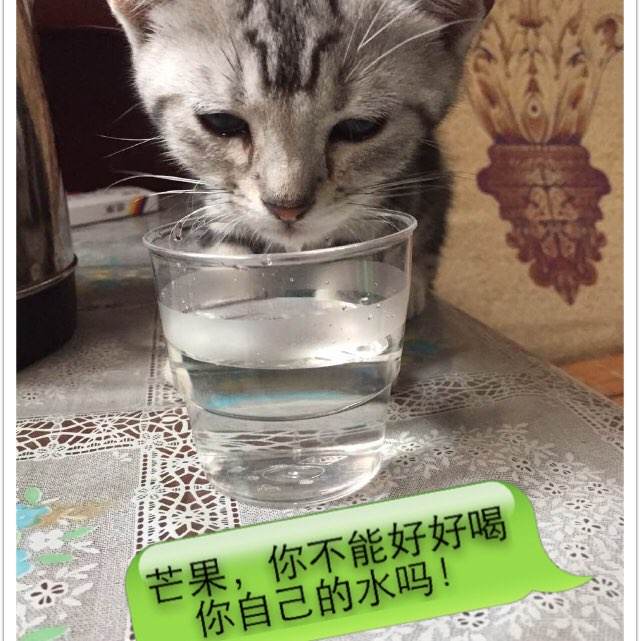 交通银行个人存款证明真实样板